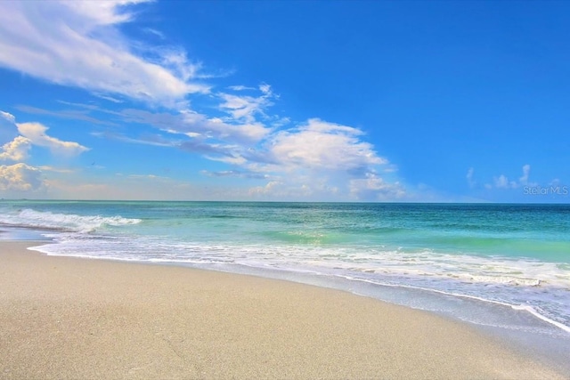 water view featuring a beach view