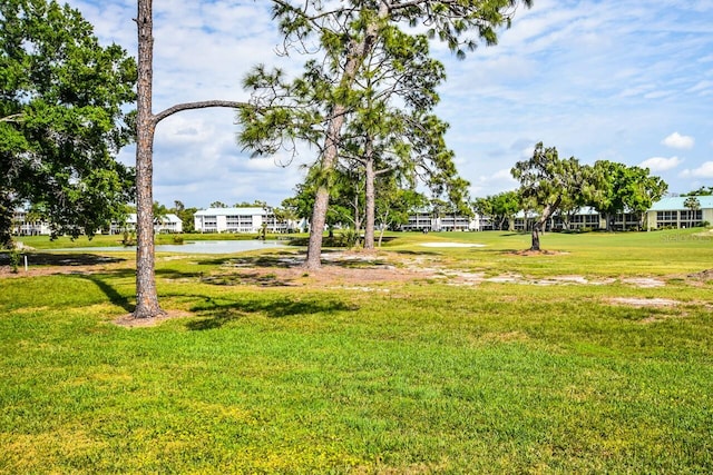 view of property's community with a yard