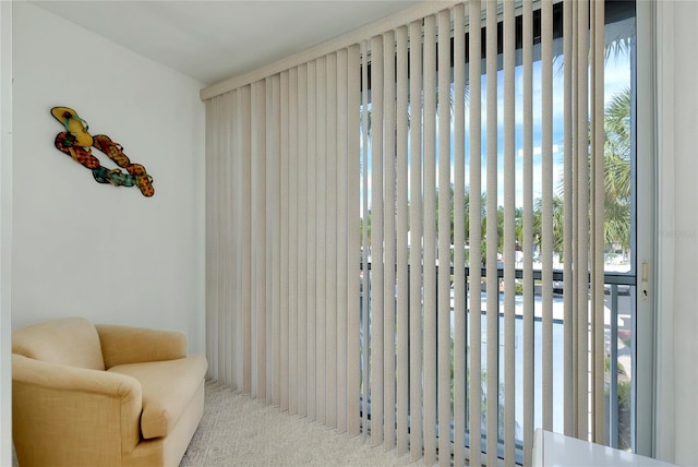 living area featuring plenty of natural light and light colored carpet