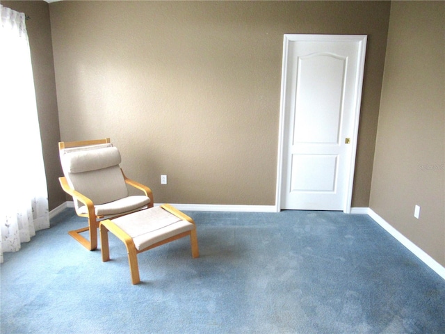 unfurnished room with carpet flooring and a healthy amount of sunlight