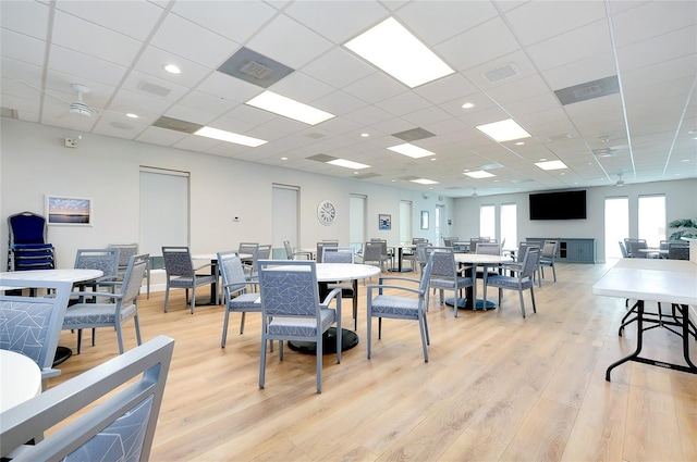 dining space with a paneled ceiling, ceiling fan, and light wood-type flooring