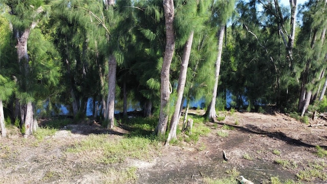 Listing photo 2 for Tamiami Trl, North Port FL 34287