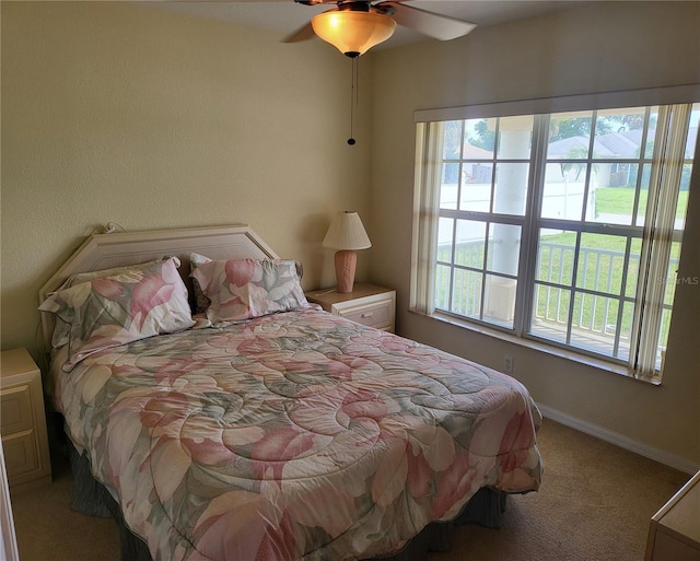 56 Princeton Rd, Venice, FL 34293 - photo 7