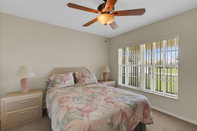 56 Princeton Rd, Venice, FL 34293 - photo 12
