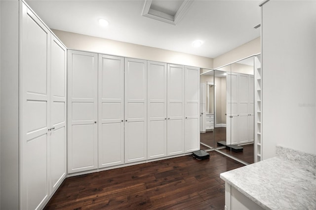 spacious closet featuring dark hardwood / wood-style floors