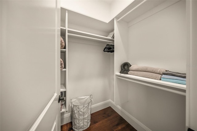 walk in closet featuring dark wood-type flooring