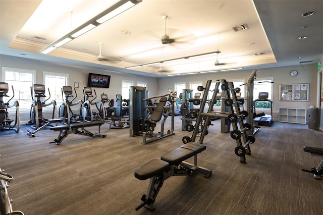 workout area featuring ceiling fan, ornamental molding, a tray ceiling, and dark colored carpet