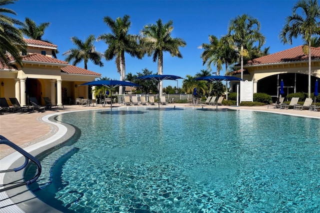 view of pool with a patio area