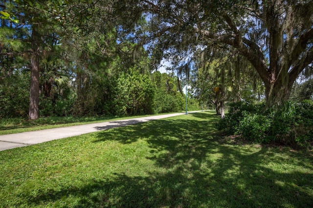 view of home's community with a lawn