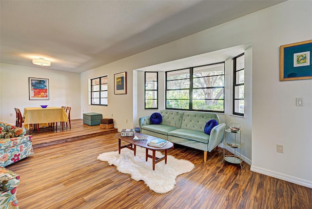 living room with hardwood / wood-style flooring