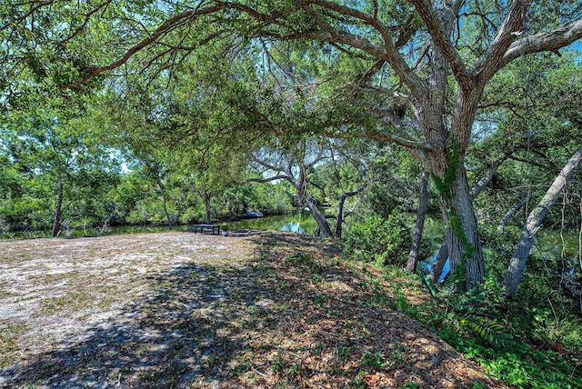 view of yard featuring a water view