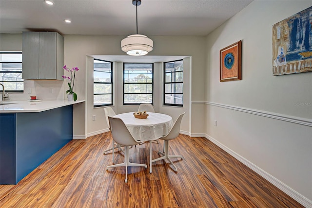 dining area with sink and dark hardwood / wood-style flooring