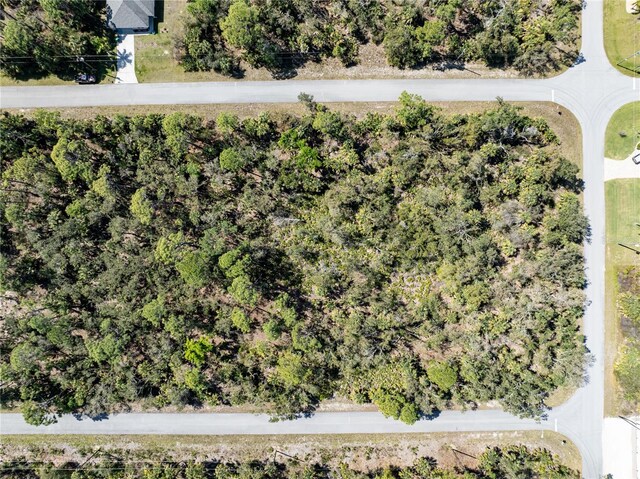 231 Krieger St, Port Charlotte, FL 33953 - photo 11