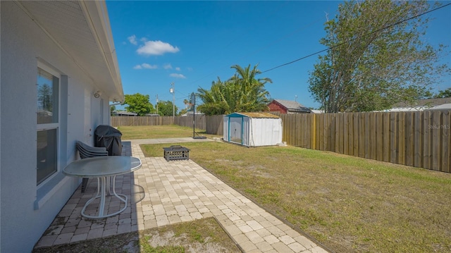 view of yard featuring a patio and a shed