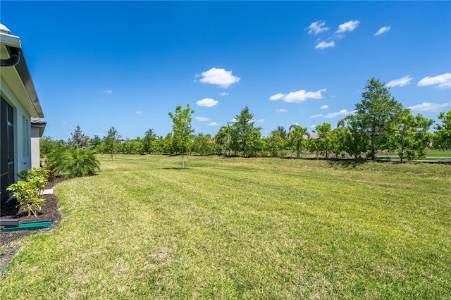 view of yard featuring a rural view