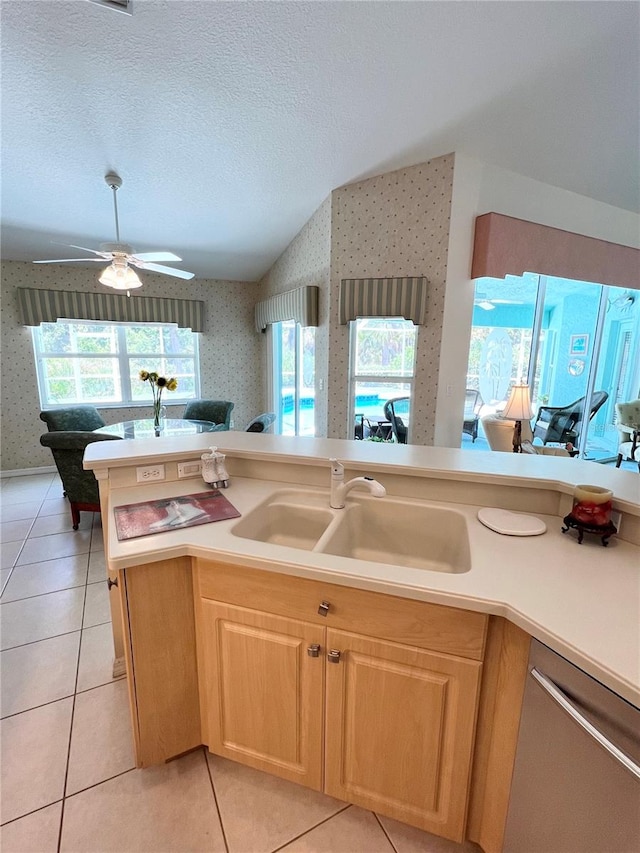 kitchen with a textured ceiling, stainless steel dishwasher, plenty of natural light, and sink