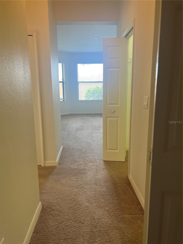 corridor with carpet