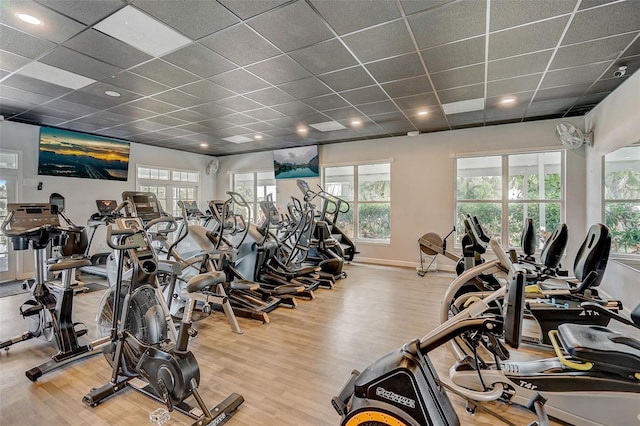 exercise room featuring light hardwood / wood-style floors and a drop ceiling