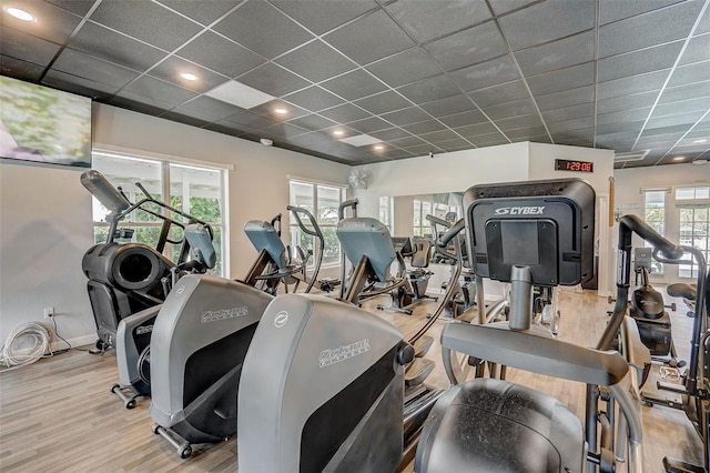 exercise room with a drop ceiling and wood-type flooring