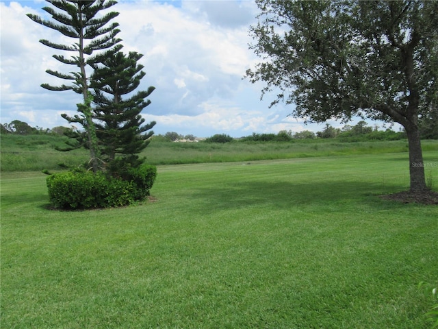 view of yard featuring a rural view