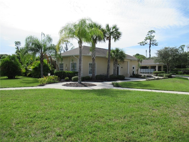 ranch-style house with a front lawn