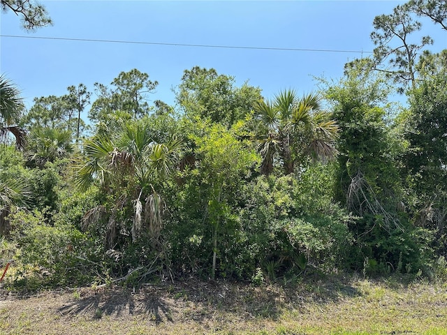 12091 Green Gulf Blvd, Punta Gorda FL, 33955 land for sale