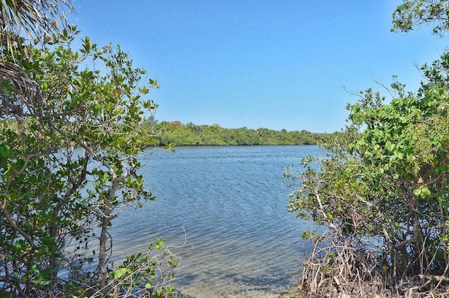 property view of water