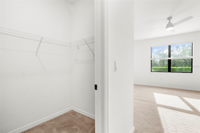 spacious closet with ceiling fan and light carpet