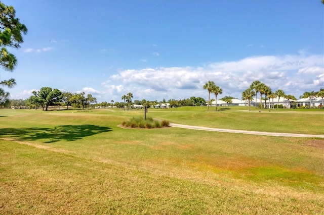 view of community with a yard