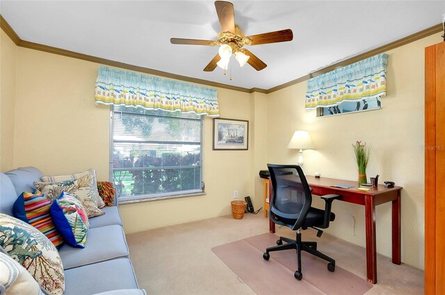 carpeted office with ceiling fan and crown molding