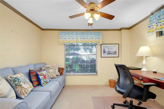 office space with ceiling fan, carpet floors, and crown molding