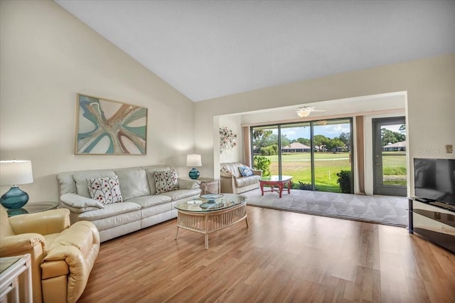 living room with wood-type flooring and high vaulted ceiling