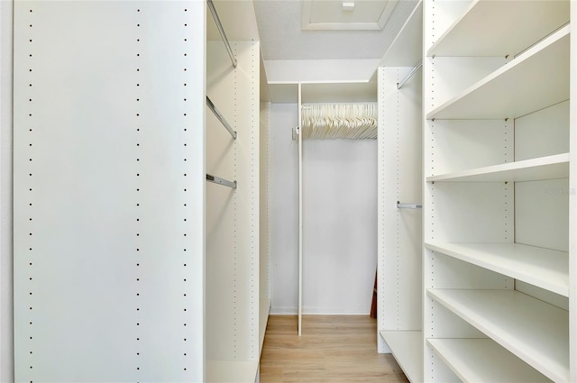 spacious closet featuring light hardwood / wood-style floors