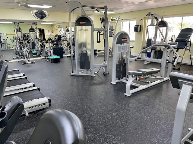 gym with a drop ceiling and ceiling fan