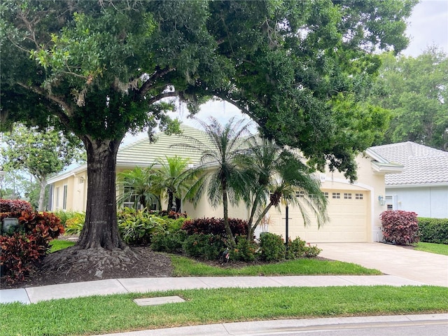 view of front of house with concrete driveway, an attached garage, and stucco siding