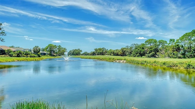 view of water feature