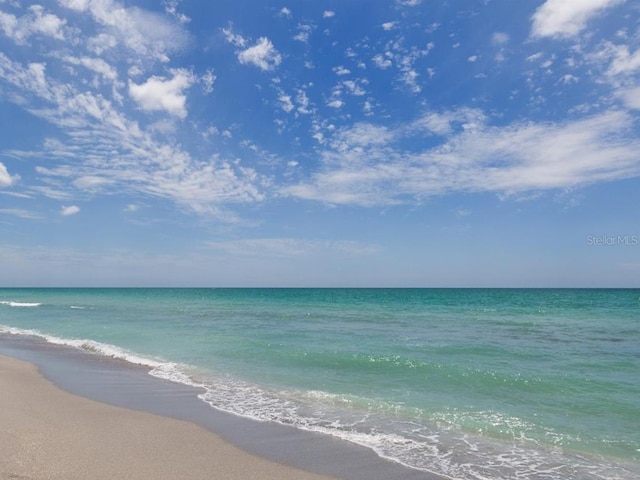 view of water feature with a beach view