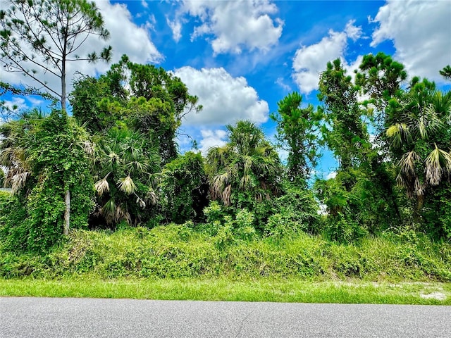 LOT33 Rice Ter, North Port FL, 34286 land for sale