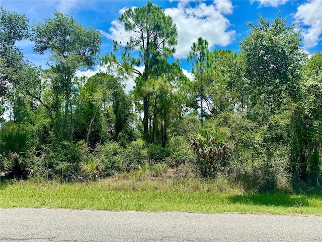 17408 Poston Ave, Port Charlotte FL, 33948 land for sale