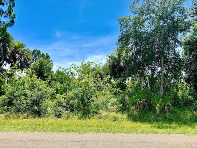 18025 Vanderbuilt Ave, Port Charlotte FL, 33948 land for sale