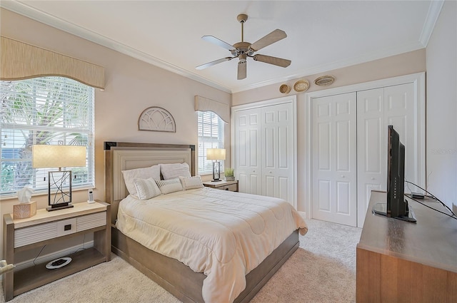 carpeted bedroom with ceiling fan, ornamental molding, and multiple closets