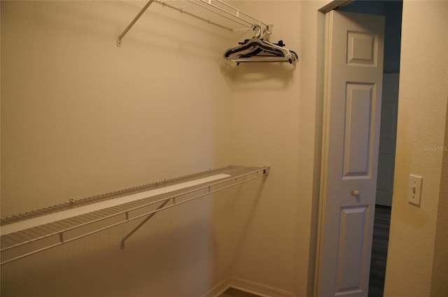 view of spacious closet