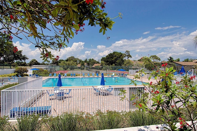 view of pool with a patio area