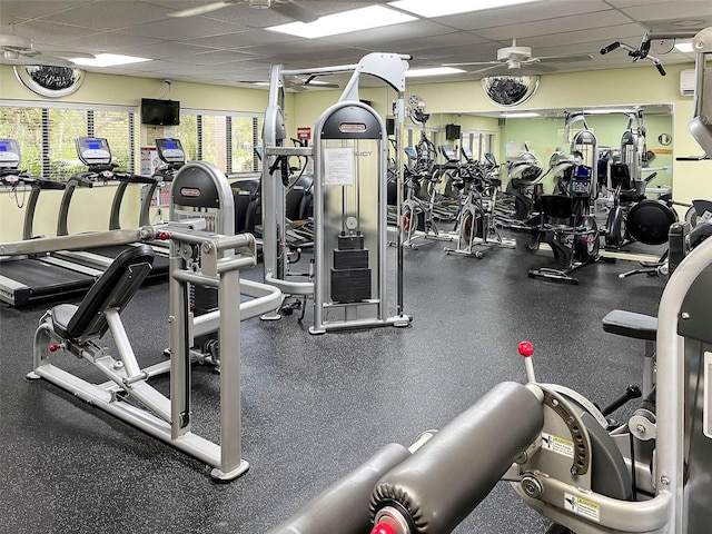 exercise room featuring ceiling fan and a drop ceiling