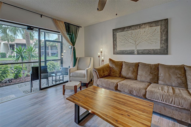 living room featuring hardwood / wood-style floors, ceiling fan, and a textured ceiling