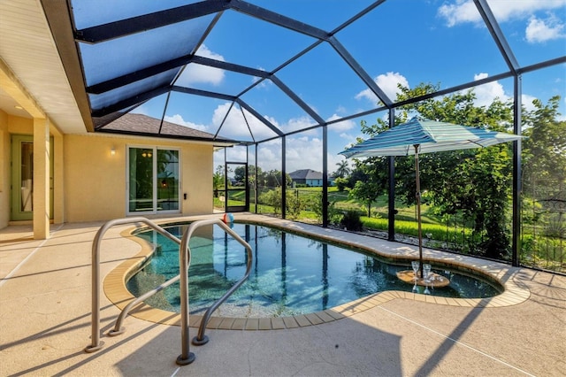 pool featuring a patio and a lanai