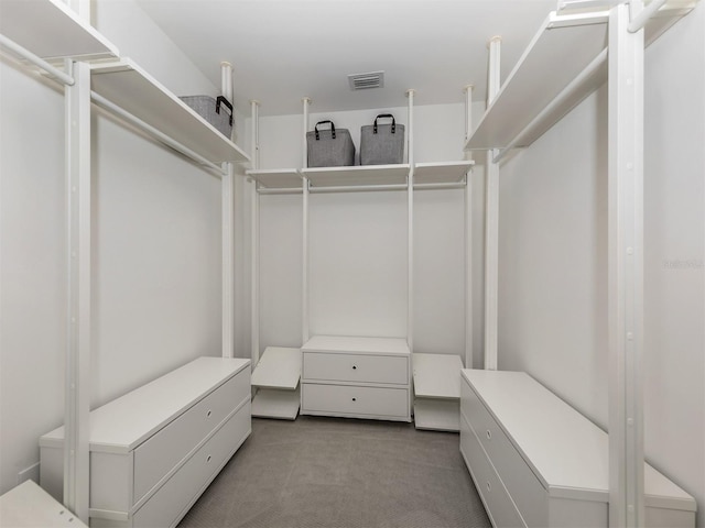 spacious closet with carpet