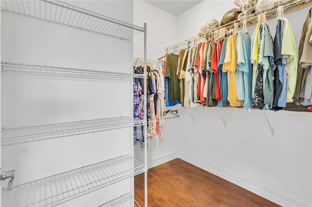 spacious closet with wood-type flooring