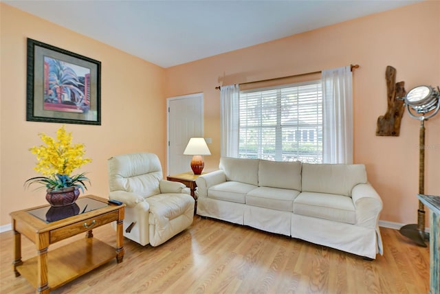 living room featuring hardwood / wood-style floors