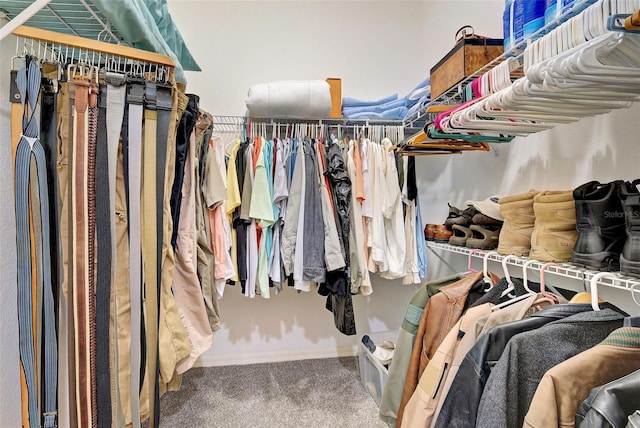 walk in closet featuring carpet